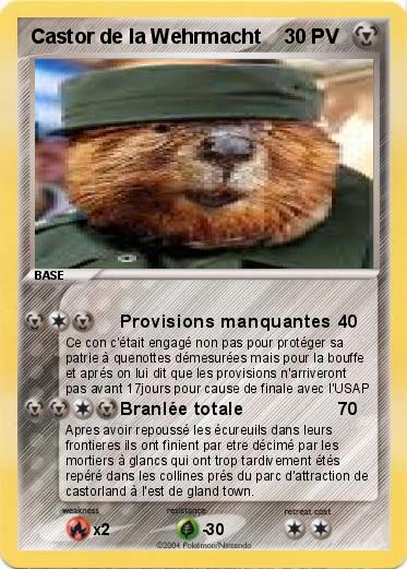 Pokemon Castor de la Wehrmacht