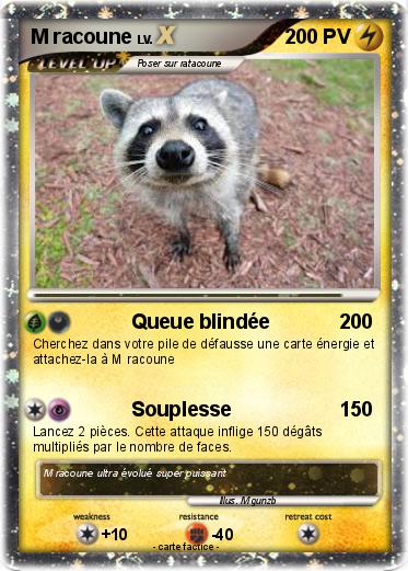 Pokemon M racoune