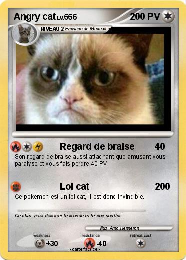 Pokemon Angry cat