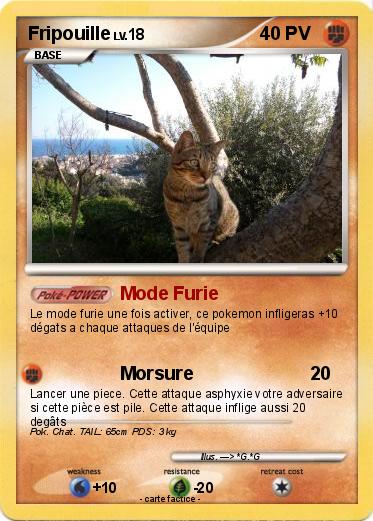 Pokemon Fripouille