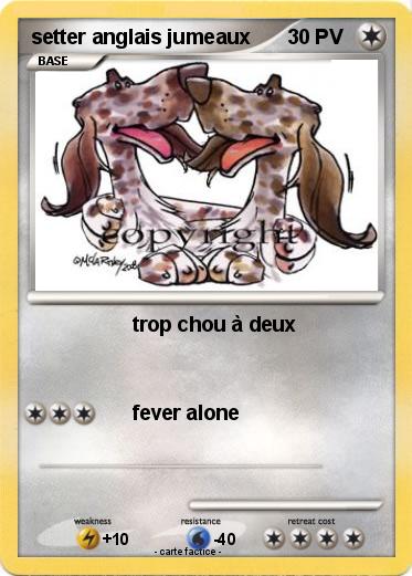 Pokemon setter anglais jumeaux