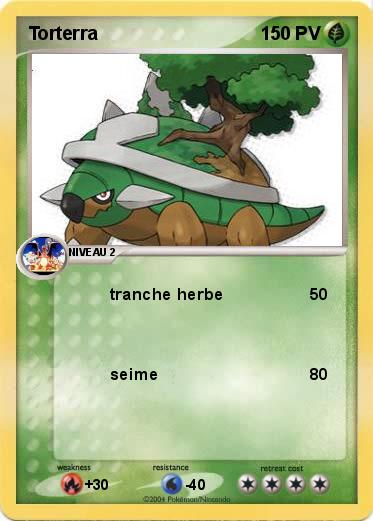 Pokemon Torterra