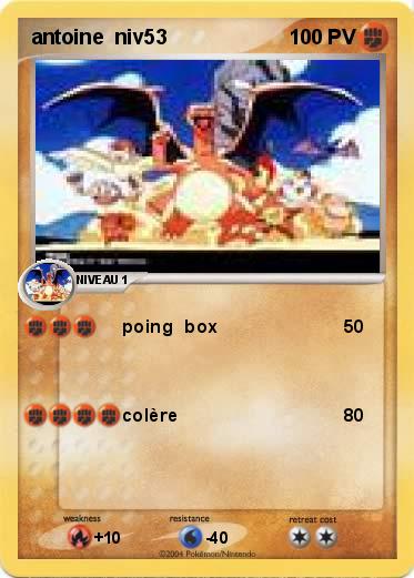 Pokemon antoine  niv53