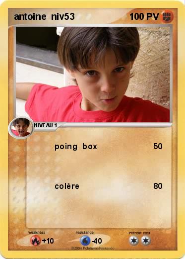 Pokemon antoine  niv53