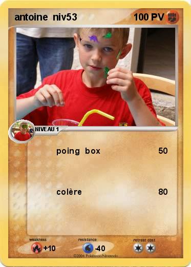 Pokemon antoine  niv53