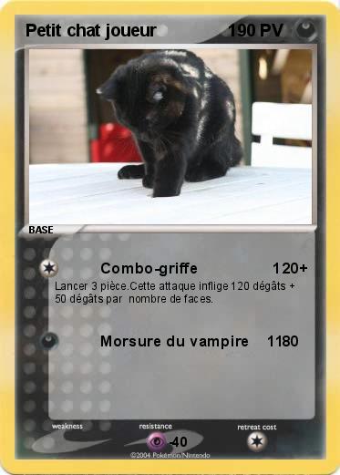 Pokemon Petit chat joueur               1