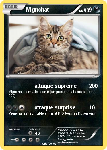 Pokemon Mignchat                           9