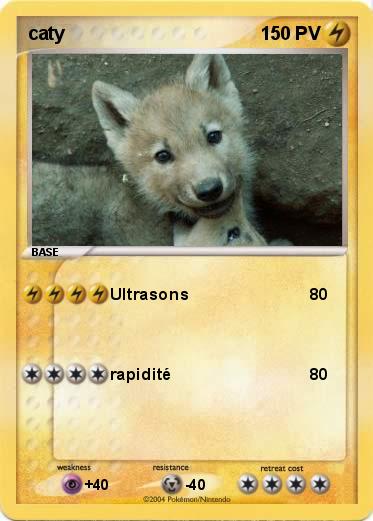 Pokemon caty
