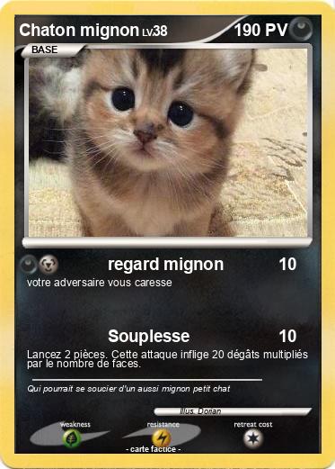 Pokemon Chaton mignon