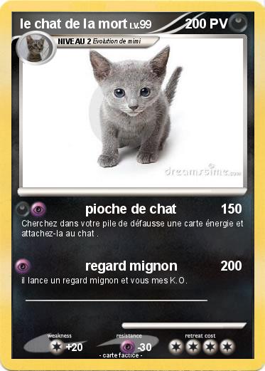 Pokemon le chat de la mort