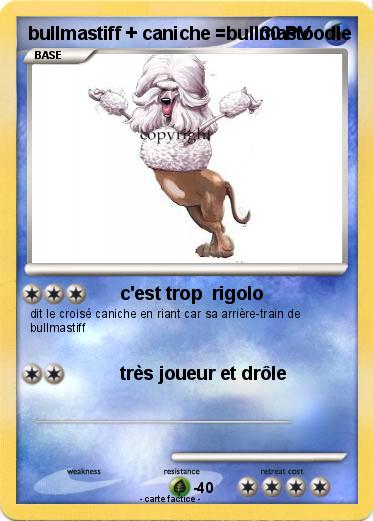 Pokemon bullmastiff + caniche =bullmastoodle