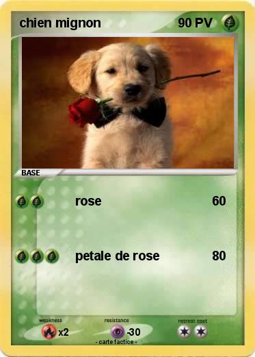 Pokemon chien mignon