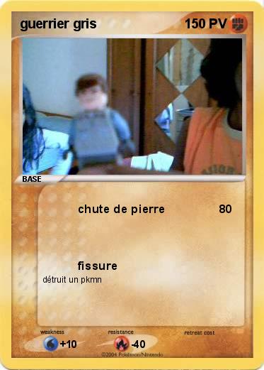 Pokemon guerrier gris