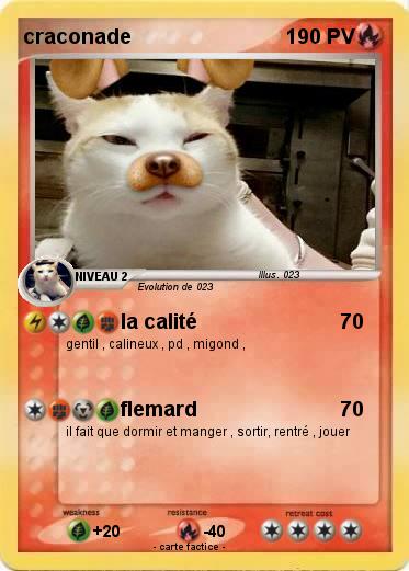 Pokemon craconade