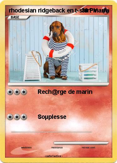 Pokemon rhodesian ridgeback en t-shirt marin