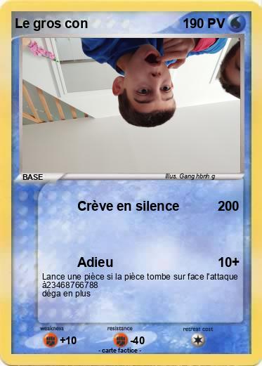 Pokemon Le gros con