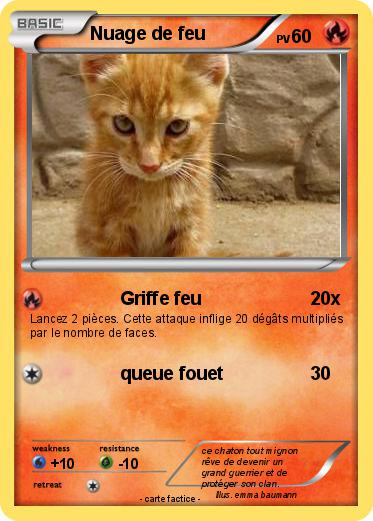 Pokemon Nuage de feu
