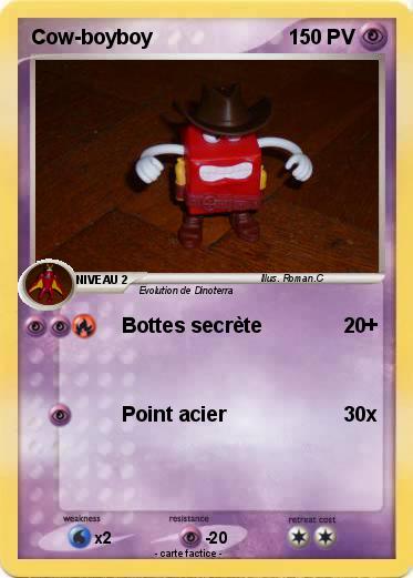 Pokemon Cow-boyboy