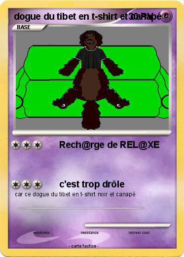 Pokemon dogue du tibet en t-shirt et canapé