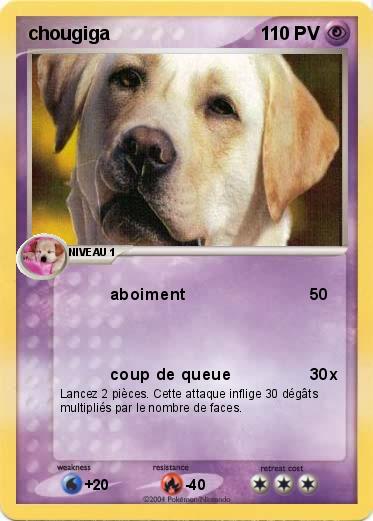 Pokemon chougiga