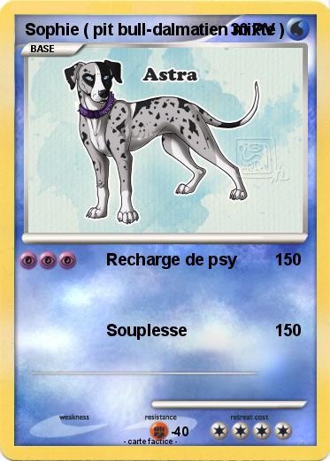 Pokemon Sophie ( pit bull-dalmatien mixte )