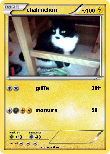 Pokemon chatmichon