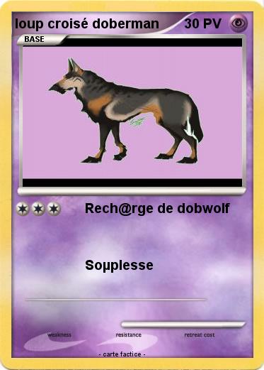 Pokemon loup croisé doberman