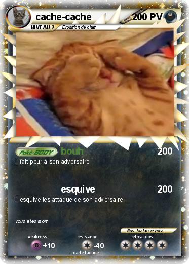 Pokemon cache-cache
