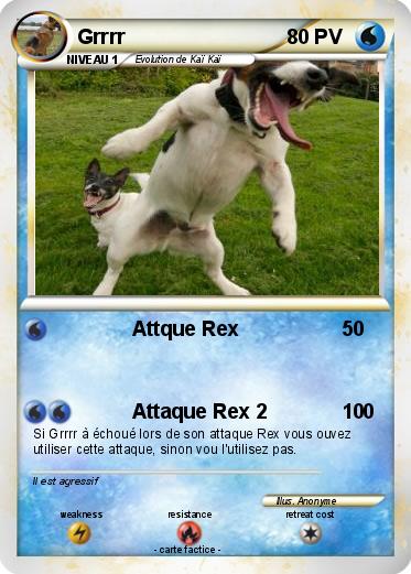 Pokemon Grrrr