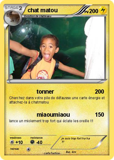 Pokemon chat matou