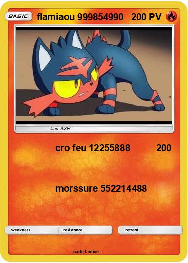 Pokemon flamiaou 999854990