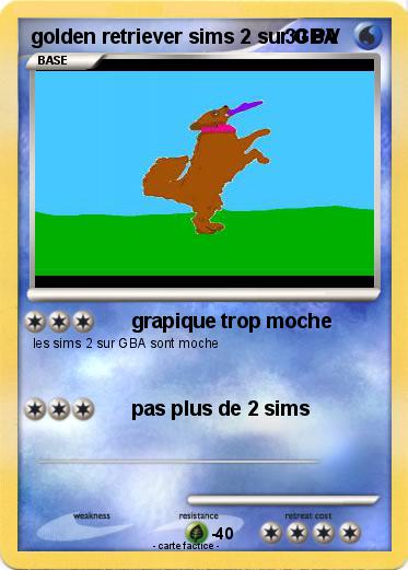 Pokemon golden retriever sims 2 sur GBA