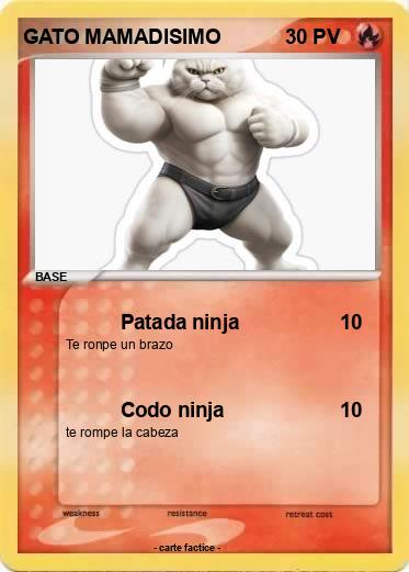 Pokemon GATO MAMADISIMO