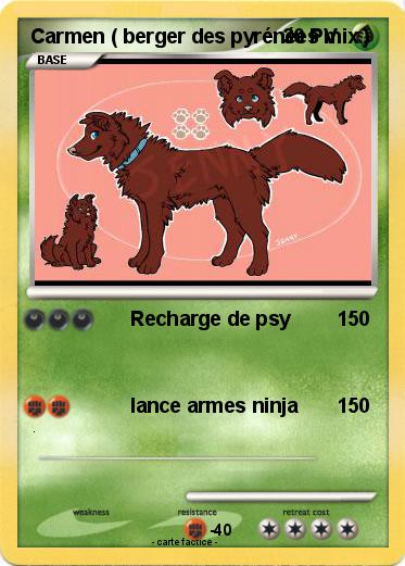 Pokemon Carmen ( berger des pyrénées mix )