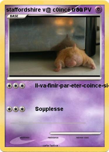 Pokemon staffordshire v@ c0incé trou