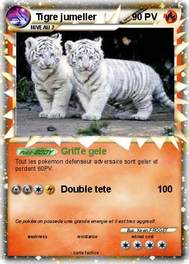 Pokemon Tigre jumeller