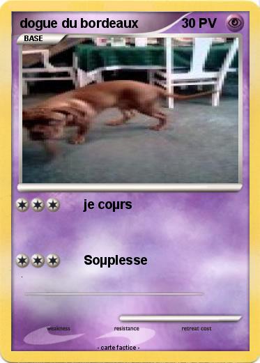 Pokemon dogue du bordeaux