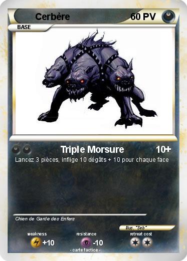 Pokemon Cerbère