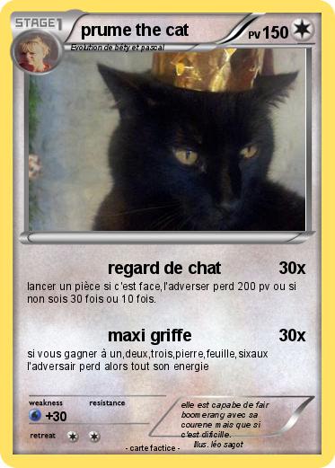 Pokemon prume the cat