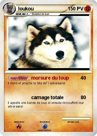Pokemon loukou