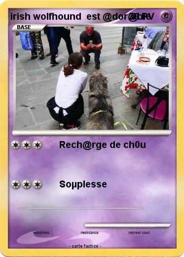 Pokemon irish wolfhound  est @dor@ble