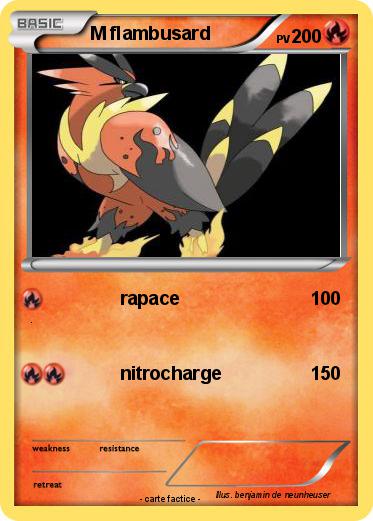 Pokemon M flambusard