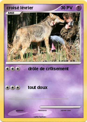 Pokemon croisé lévrier