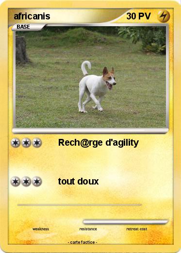 Pokemon africanis