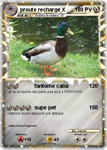 Pokemon proute recharge X