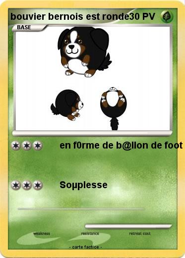 Pokemon bouvier bernois est ronde