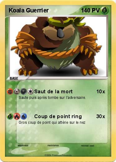 Pokemon Koala Guerrier
