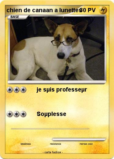 Pokemon chien de canaan a lunettes