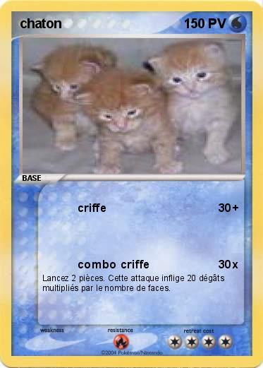 Pokemon chaton