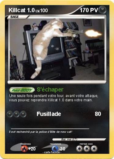 Pokemon Killcat 1.0